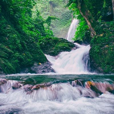 我满怀歧异的意识代码游戏下载